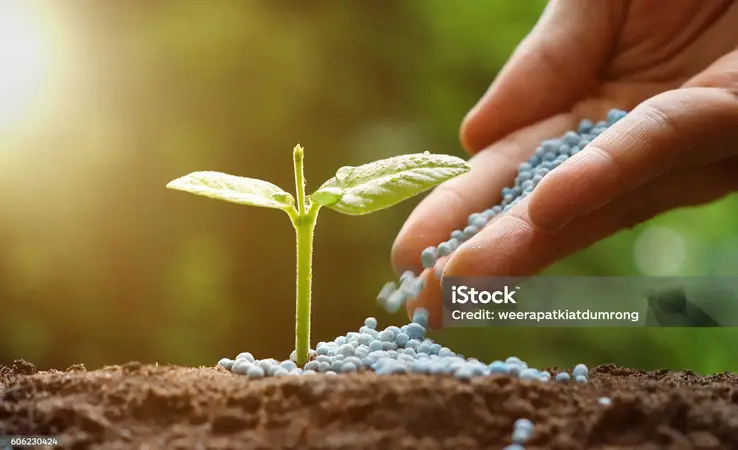 Düngemittel & Bodenverbesserer