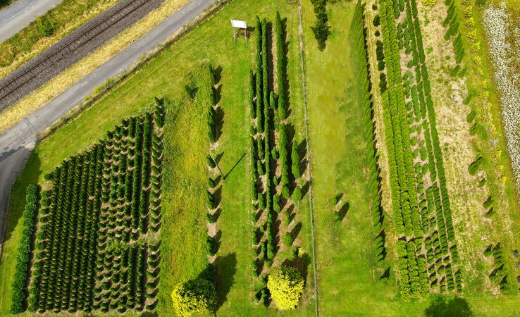 Pflanz- und Pflegeberatung