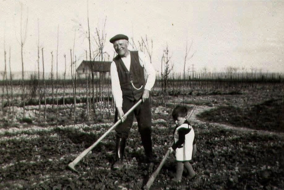Ausbildung und Betriebsübernahme