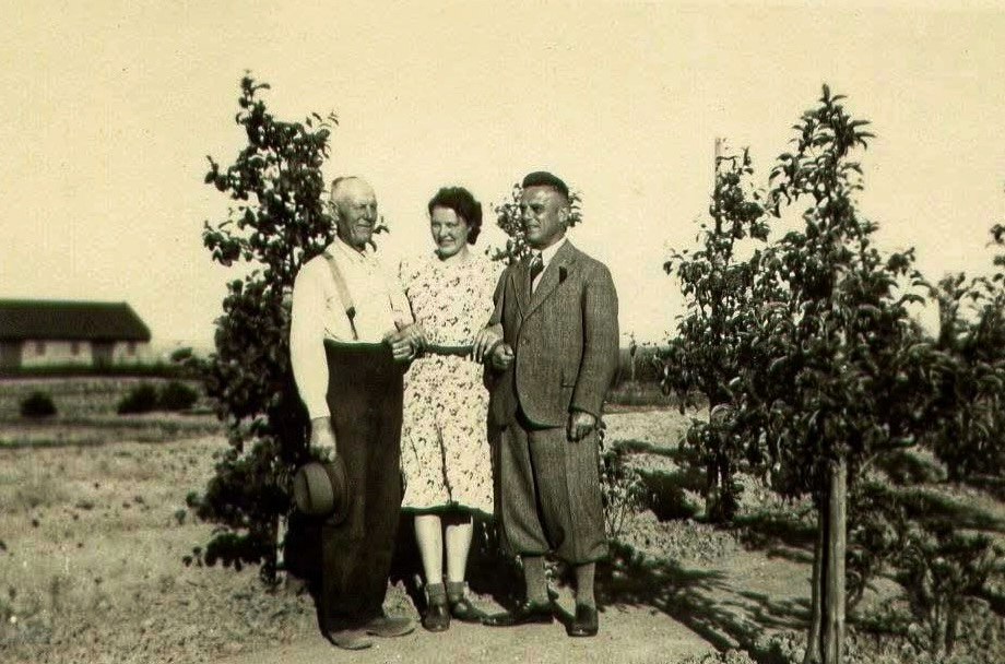 Spezialisierung und Ausbildung